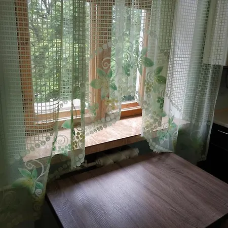 On Shevchenko Prospect Apartment